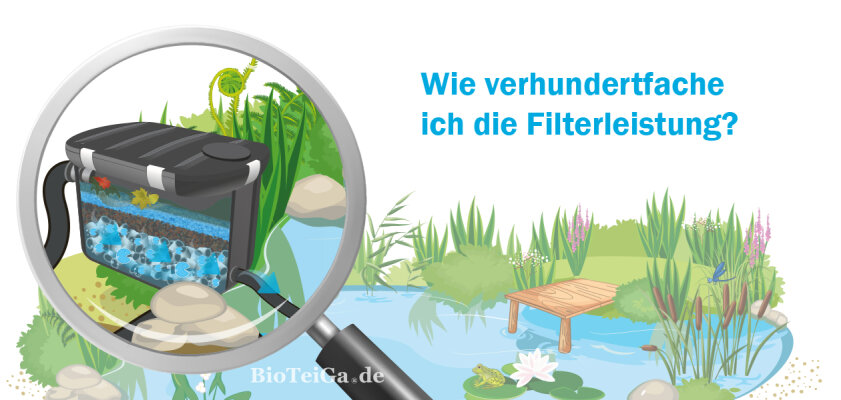 Biologischen Filterstystem: Welche 3 Fehler Sie vermeiden sollen - Biologisches Filtersystem im Teich