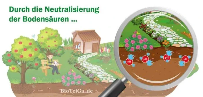 BioTeiGa - Garten - Neutralisierung Bodensäure