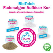 BioTeich Fadenalgen-Auflöser-Kur