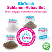 BioTeich Schlamm-Abbau-Set