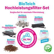 BioTeich Hochleistungsfilter - Set