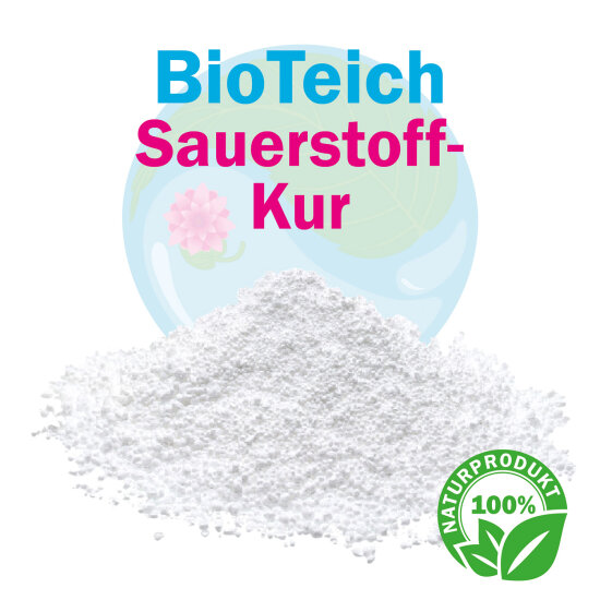 BioTeich Sauerstoff-Kur 500 g